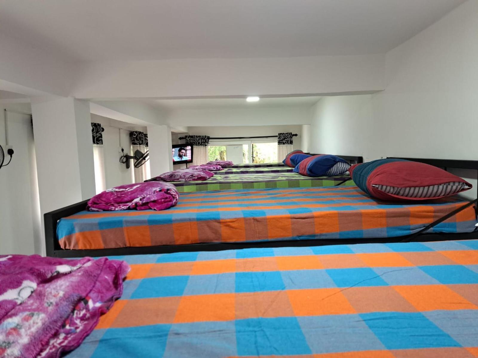 The " Onex Paradise " Ella Bilik gambar