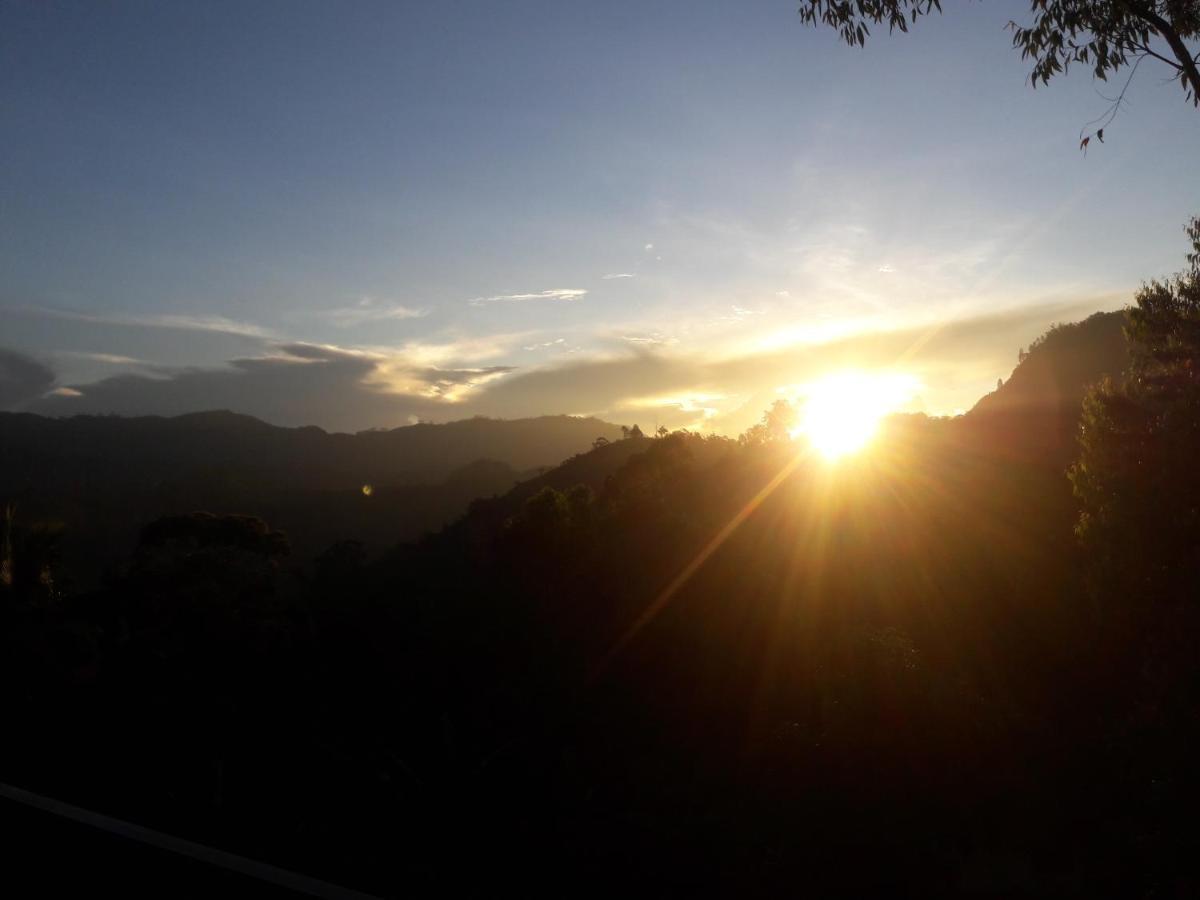 The " Onex Paradise " Ella Luaran gambar